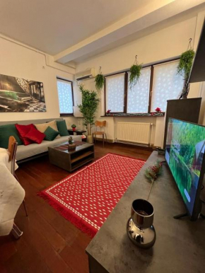 Charming and Cozy apartment in Bucharest center